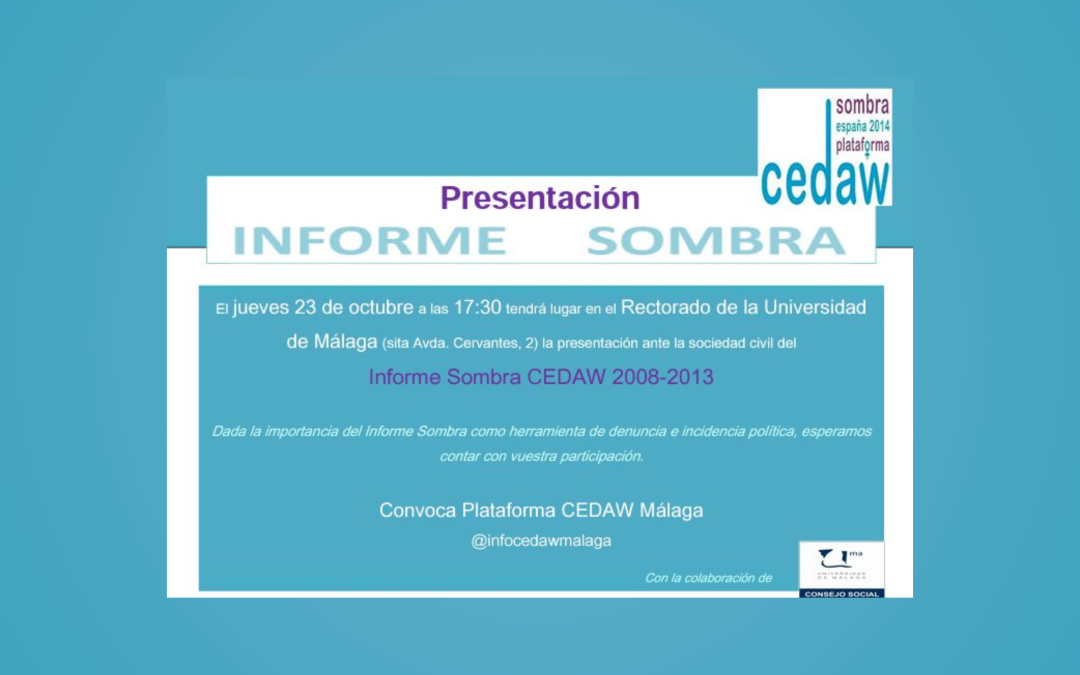 Informe Sombra (2008-2013)